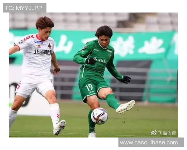 千叶队与新泻队对决前瞻分析及赛季表现预测